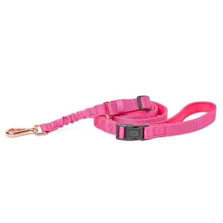 Leashes