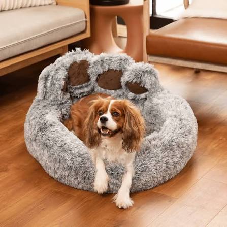 Dog Beds