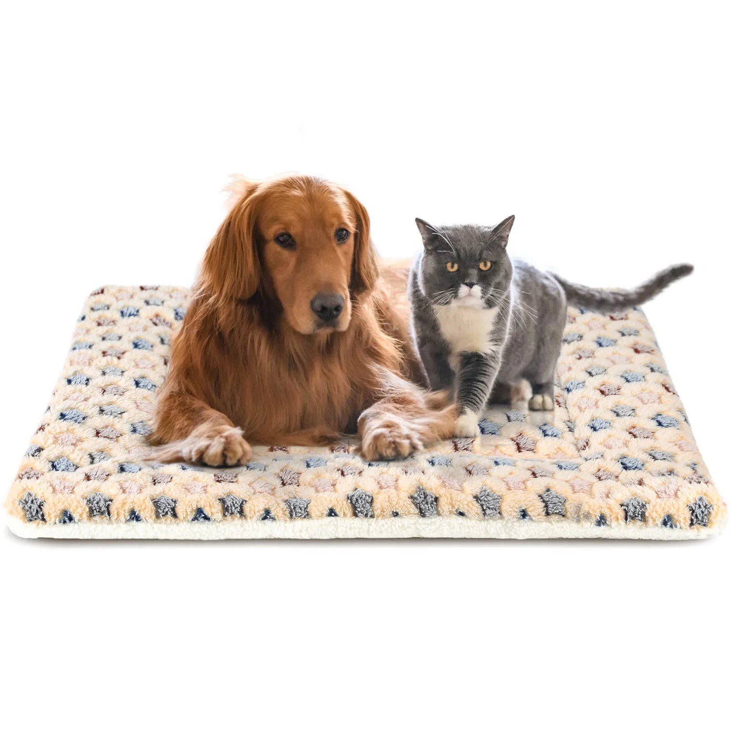 Beds and Blankets