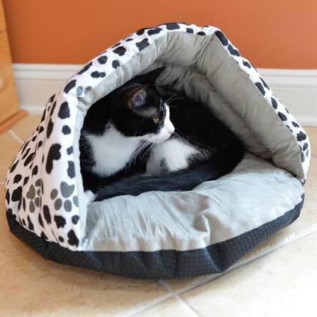 Black and White Cat Bed