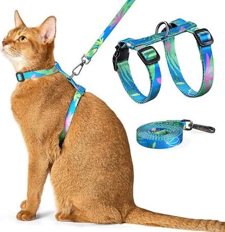 Cat Harnesses & Leashes