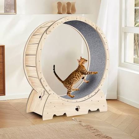 Cat Exercise Wheels