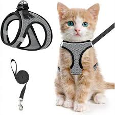 Cat Harness And Leash Set For Walking