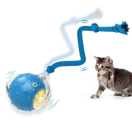 Motion Activated Toys