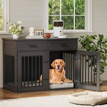 Contemposry Dog Bed