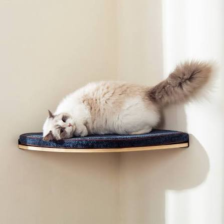 Corner Cat Shelf