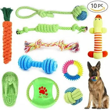 Dog Toys