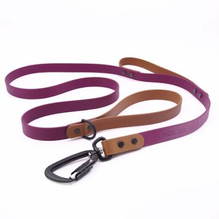 Dog Leashes