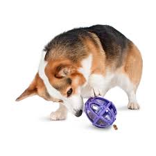 Dog Treat Dispensing