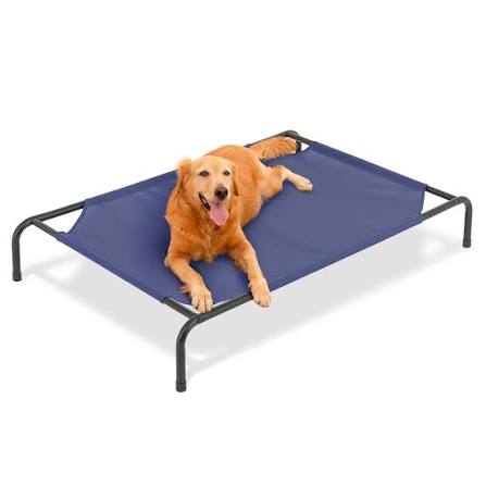 Elevated Non Slip Cooling Dog Bed