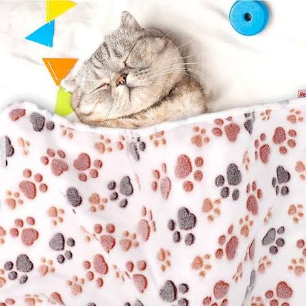 Fluffy Cat blankets w-PawPrint