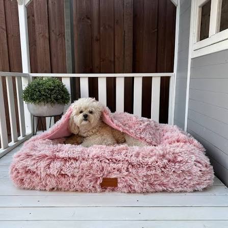 Hooded Pouch Dog Bed