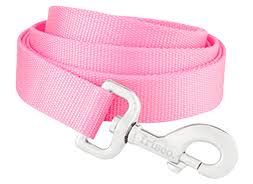 Hot Pink Dog Leash