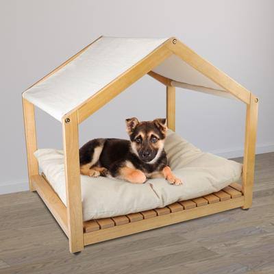 Indoor Open Dog House