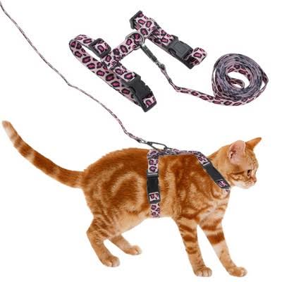 Medium Cat Leash & Harness.