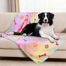 Multi Color Dog Blanket