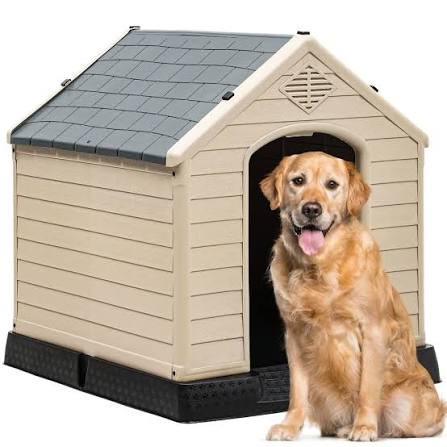 Pet Homes
