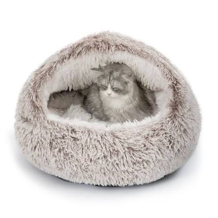 Cat Beds