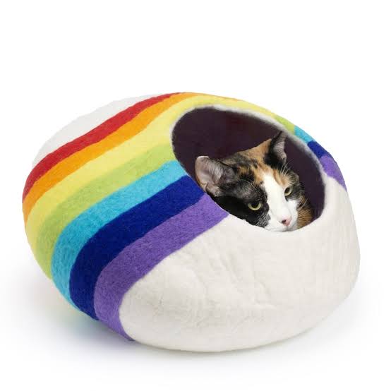 Rainbow Cat Bed