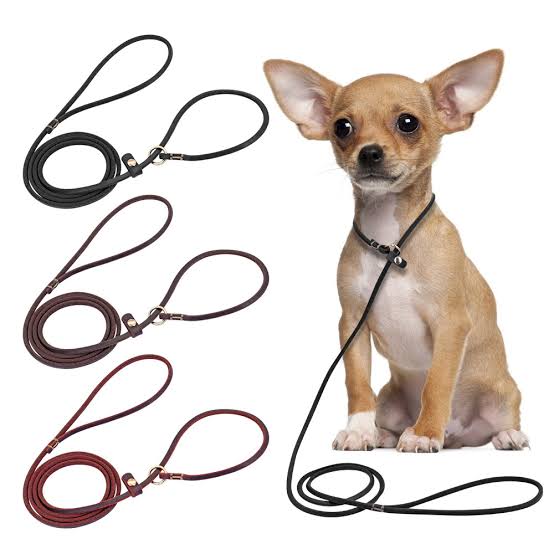Small Dog Slip Leash