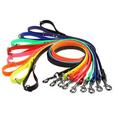 Waterproof Dog Leash