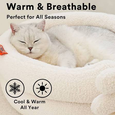 White Cat Bed