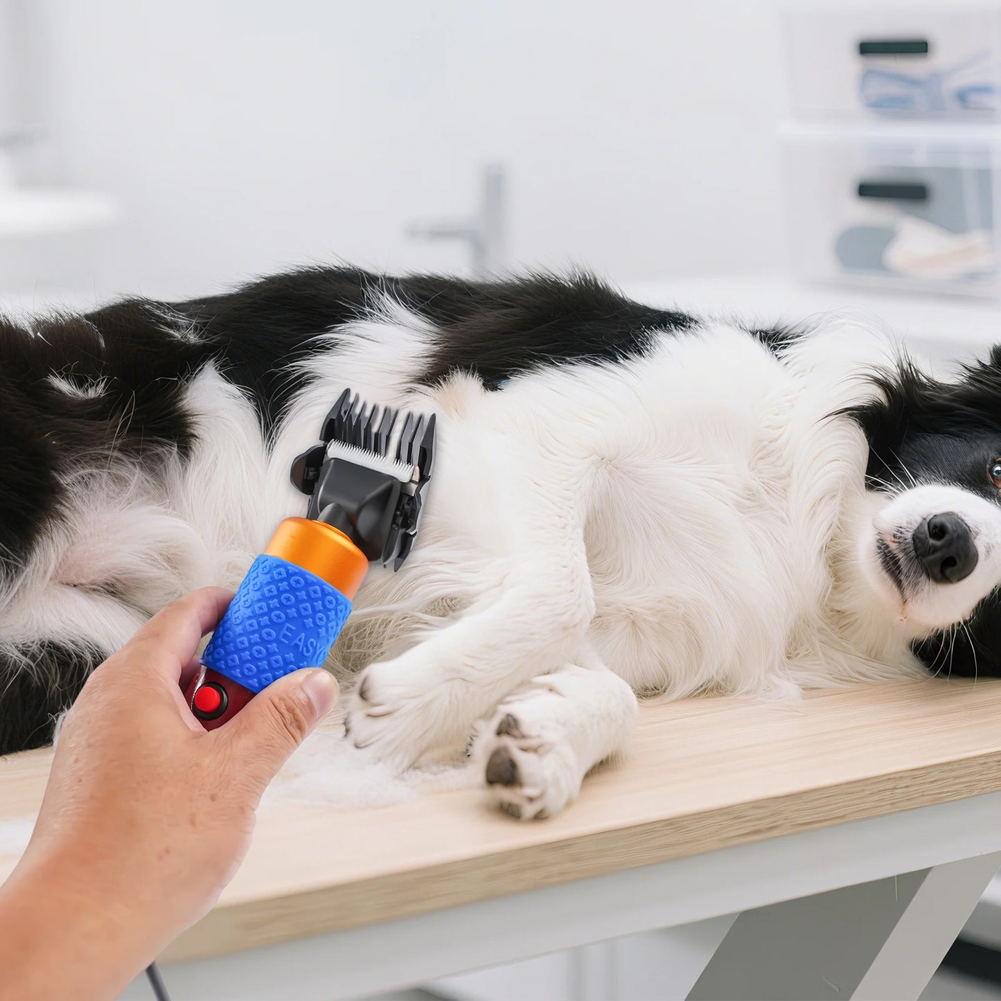 36W Electric Pets Dogs, Sheep, Goat Shears, Animal Grooming Shearing Clipper Farm Supply Sheep Goat Shears Rabbit Shearing Shaver