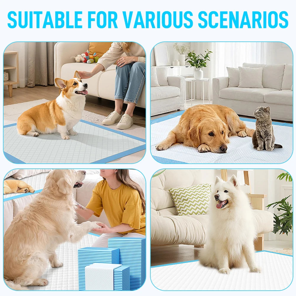 100pcs Super Absorbent Pet Training Pads, Leak-Proof & Quick-Drying Disposable Pee Pads for Dogs & Cats, Blue & White, Perfect for Puppy Housebreaking, Senior Pet Incontinence, and Travel, Ideal Gift for Dog Owners