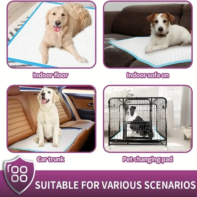 Dog Pee Pads | Various Sizes Of Premium Disposable Dog Training Pads | Super Absorbency | Blue Extra Strength Leak-Proof