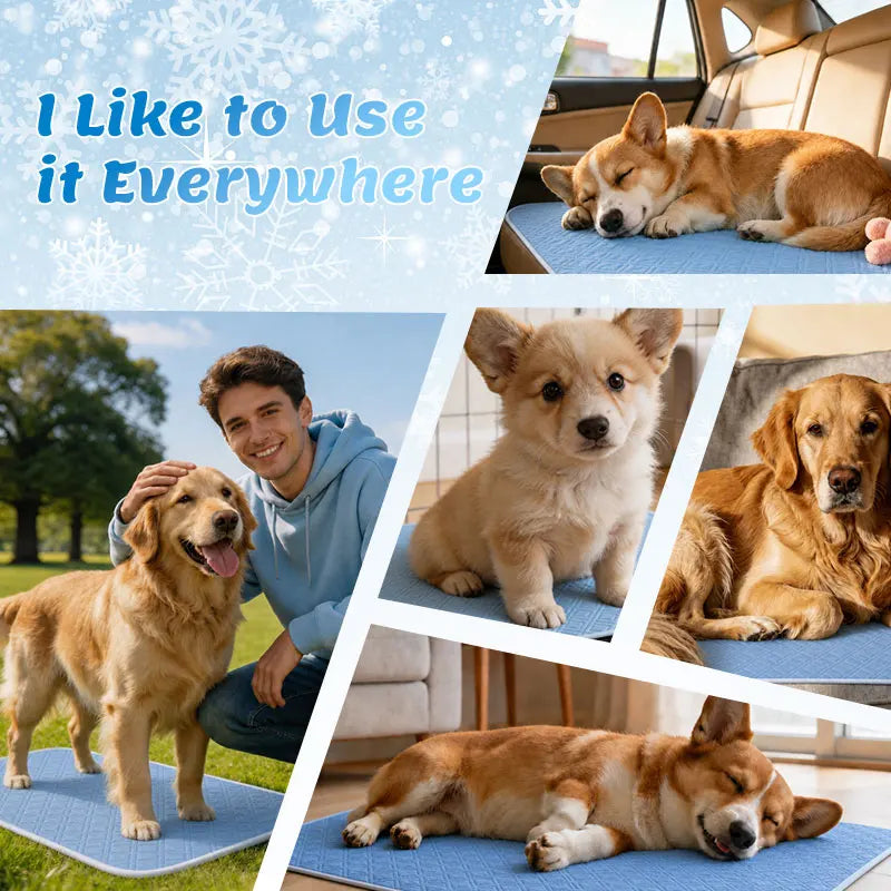 Summer Cooling Pad For Pet Cat or Dog Blanket Breathable Comfortable Pet Bed Washable Ice Feeling Pad For Small Large Dogs Pets