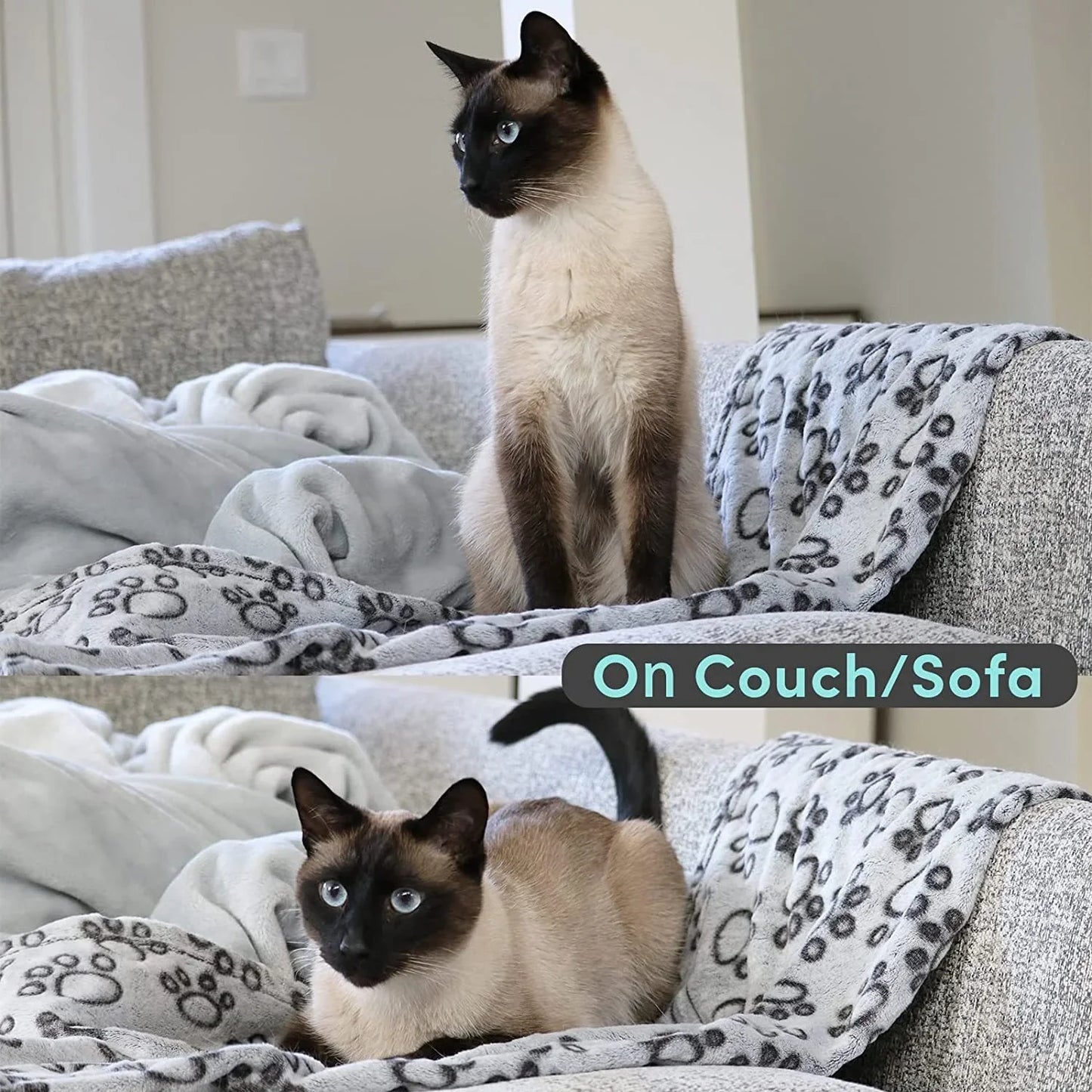3 Sizes Super Soft Fluffy Premium Fleece Pet Blanket  Pet Mat Warm Comfortable Blanket for Cat Dogs Cat Pet Supplies Easy Clean