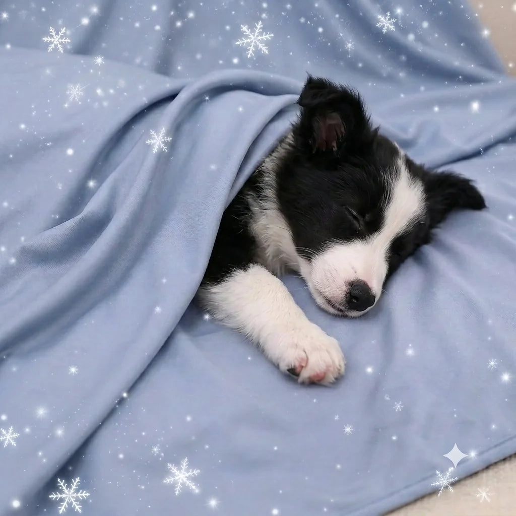 Summer Cooling Thin Blanket For Dogs Cats Breathable Cooling Mat Soft Lightweight Washable Pet Throw Blanket Gift For Pet Lovers