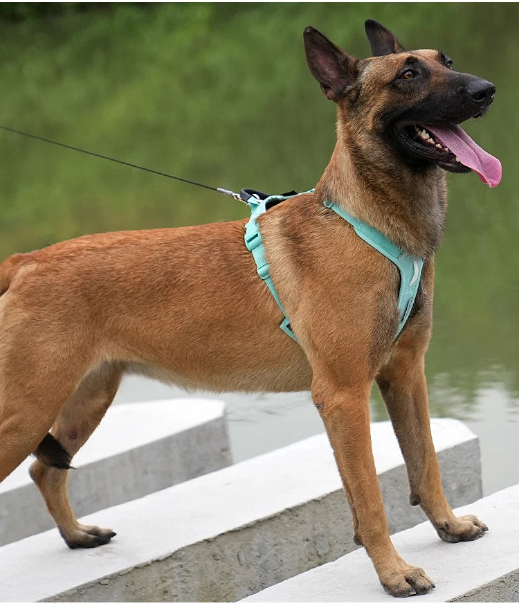Pet Harness No Pull Nylon Reflective Dog Harness Adjustable Comfortable Control Walking Running Accessories