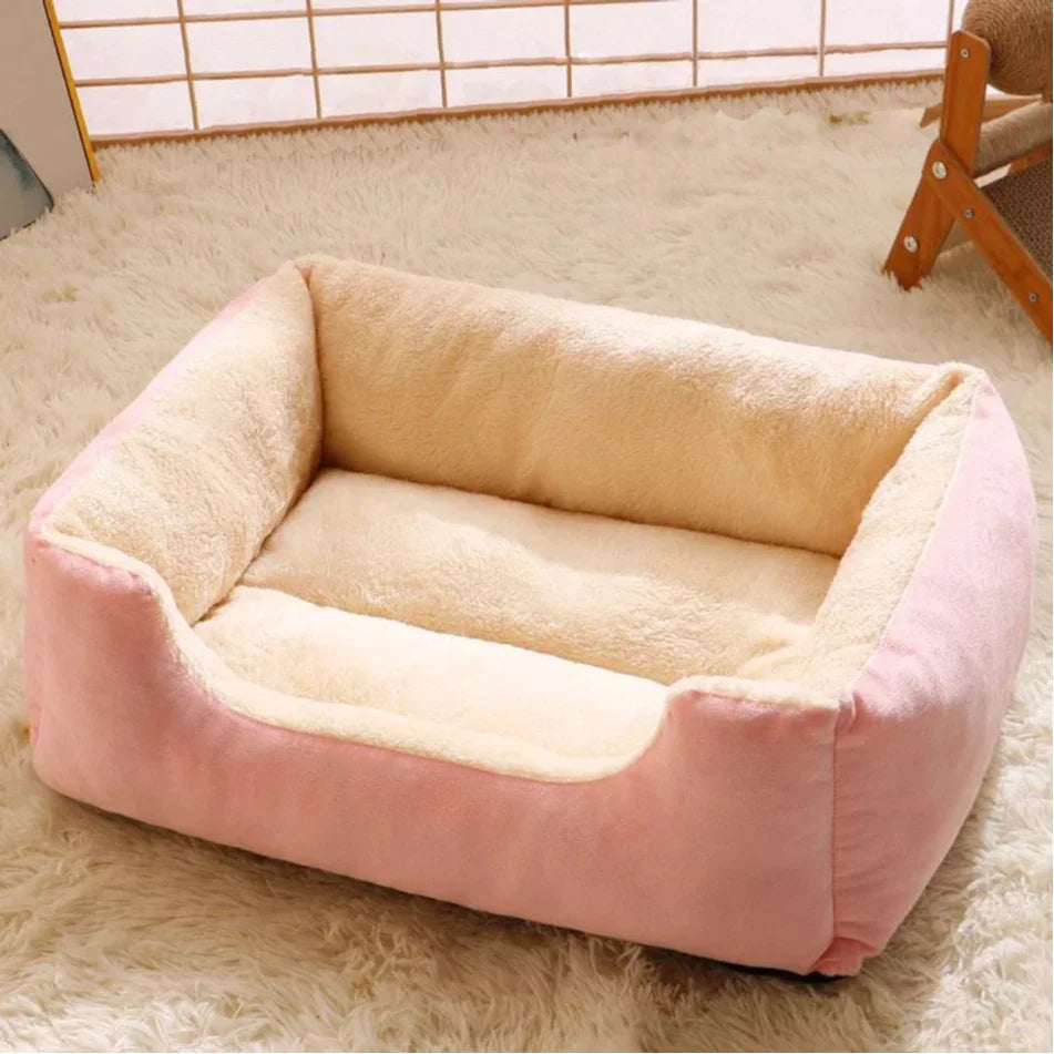 Bed for Cats Pet Products Cushions Kitten Goods Accessories Dog All Home Supplies Things Accessory Habitats Basket House Beds