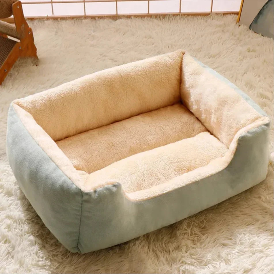 Bed for Cats Pet Products Cushions Kitten Goods Accessories Dog All Home Supplies Things Accessory Habitats Basket House Beds