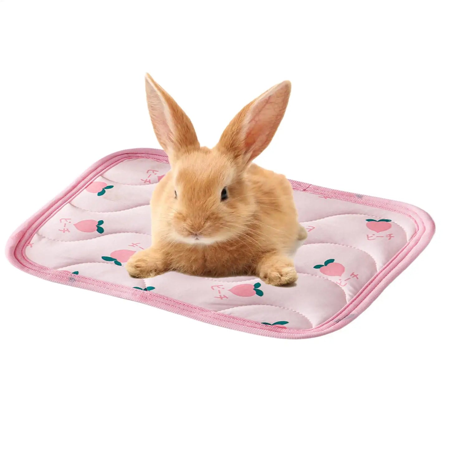 Cat Dog Ice silk guinea pig cooling mat Summer cooling mat Pet Cold Bed Pet Cooling Blanket Washable Small Animals Sleeping Bed