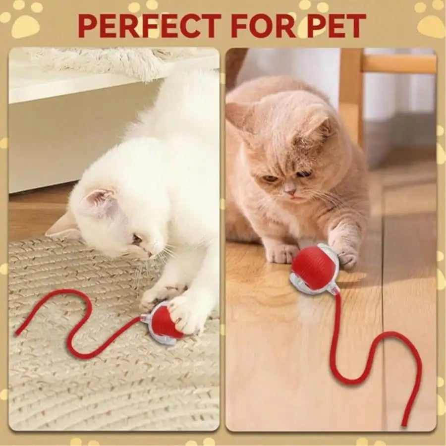 1pc Unpredictable Interactive Gravity Ball Automatic Electronic Cat Toy, Suitable For Play And Entertainment, Random Color