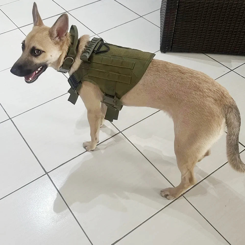 Dog Harness Collar Set Adjustable Tactical Dog Vest Harness And Durable Nylon Dog Collar Combo For Small Medium Large Dogs Outdoor Walking Training