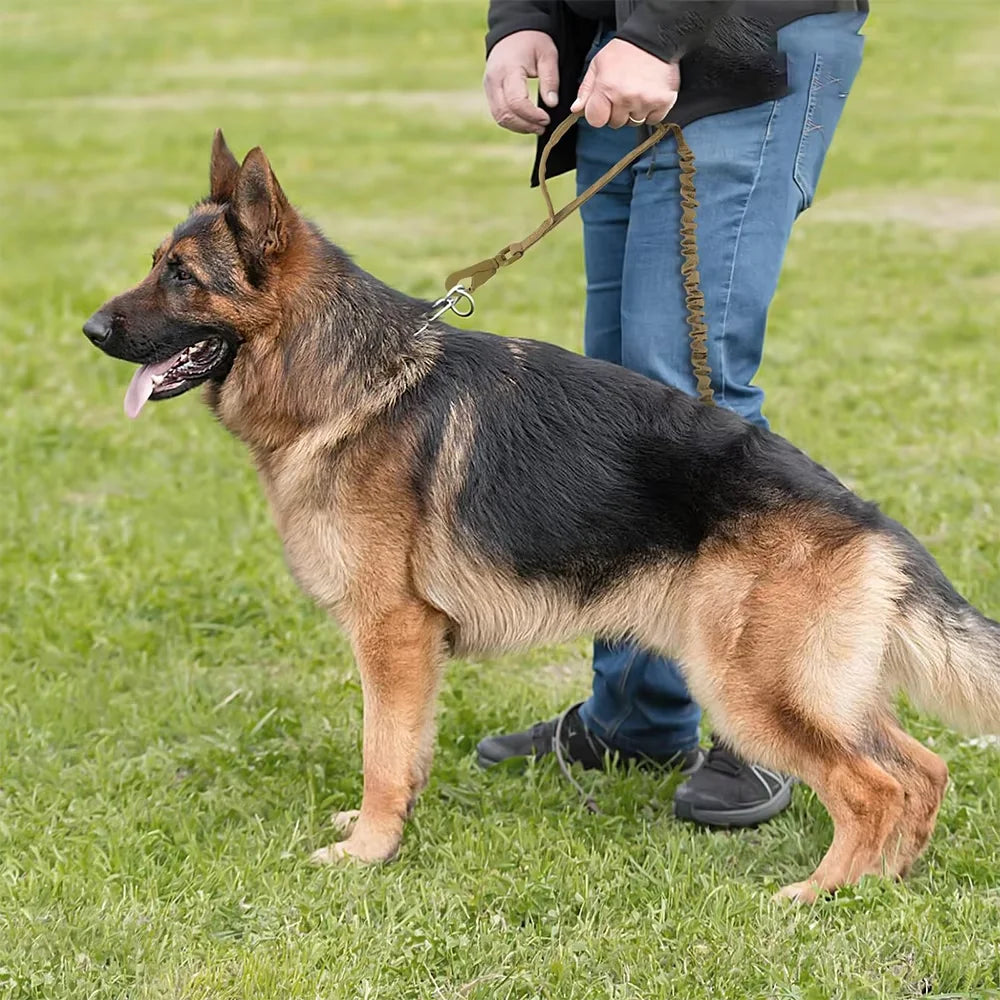 Military Doghttps://www.dsers.com/application/find_products Leashes Adjustable Leash Quick Release Elastic Rope With 2 Control Handle For Medium and Small Dogs Accessories