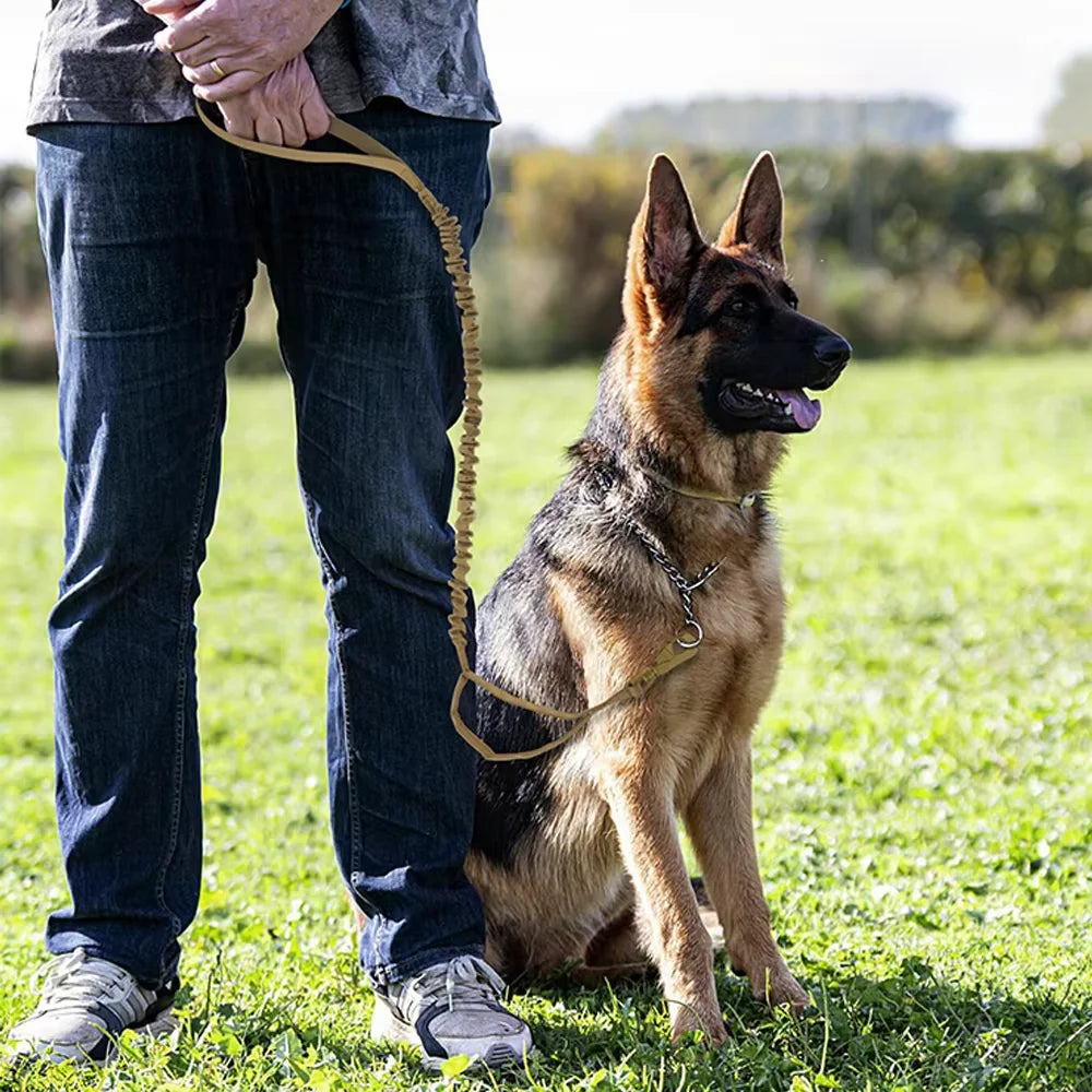 Military Doghttps://www.dsers.com/application/find_products Leashes Adjustable Leash Quick Release Elastic Rope With 2 Control Handle For Medium and Small Dogs Accessories